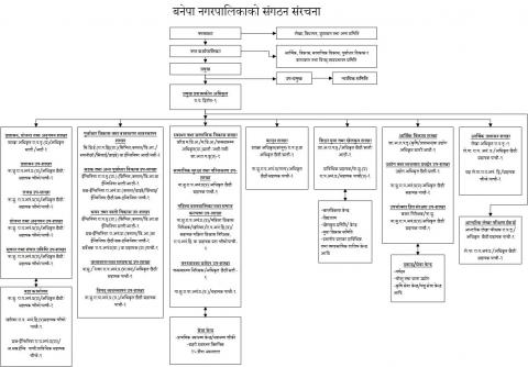 संगठन संरचना